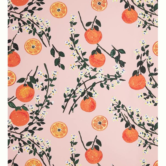New Anthropologie Carly Beck Arance Dolci Fruit Floral Wallpaper Mural Pink